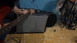 muestra fender champion 100w