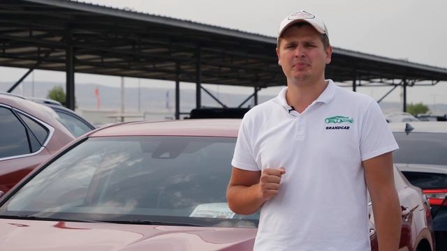 Выбираем авто на рынке Автопапа в Грузии. Проходим все этапы подбора