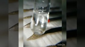 Азопирамовая проба