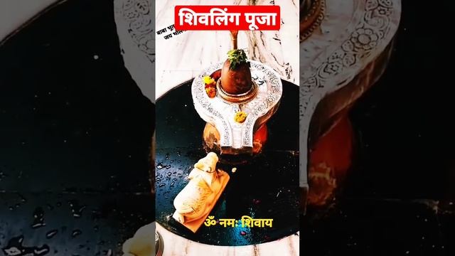 shivling Puja ki short video #viral #youtube