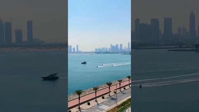 Aloft Palm Jumeirah Dubai #reels #palmjumeira #dubai #shortvideo