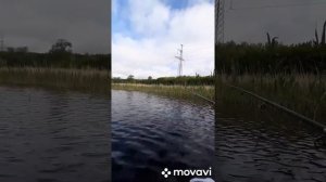 Как приготовить болтушку и как на болтушку ловить рыб!!