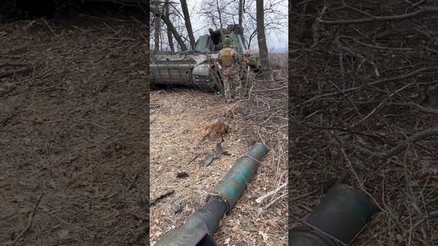 САУ 2С3 "Акация" с поврежденным стволом.Теперь у пацанов настоящий гангстерский обрез