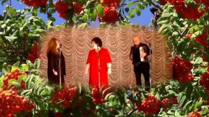 Не люби красивую💕Девчонки! Эта песня для Вас! Прекрасное исполнение песни о любви под чарующий баян