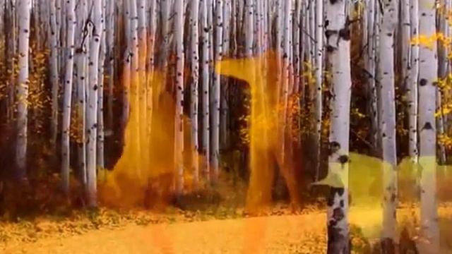 Загуляю осень, загуляюсь.. Стихи Татьяна Бродская, муз. и исп. Самуил Фрумович смотреть онлайн