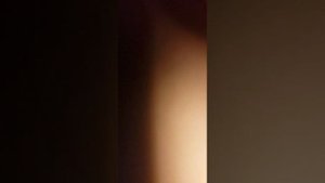 гр ион ионица 2 белые розы дубляж двойник иона ионицы