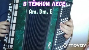 БАЯН.В ТЁМНОМ ЛЕСЕ.БЕЗ НОТ АККОРДАМИ Am, Dm, E, КАК НА  ГИТАРЕ.RUSSIAN SONG WITH BUTTON ACCORDION.