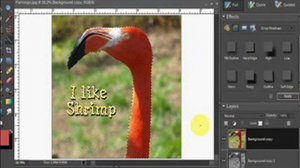 PhotoShop Elements 7 Tutorial