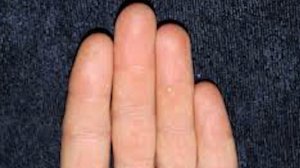 Способы посадки и посева растений в открытый и закрытый грунт