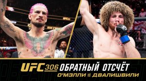 UFC 306 Обратный отсчет - О'Мэлли vs Двалишвили