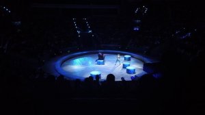 ЦИРК 2021 | Большой Государственный Цирк