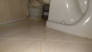 Всегда ли целесообразно устанавливать унитаз к канализации, через гофру?