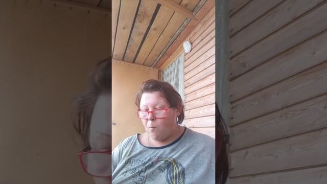 Мои перцы у меня жёлтый перец это бизон восторг! 27.08.2022 смотреть онлайн