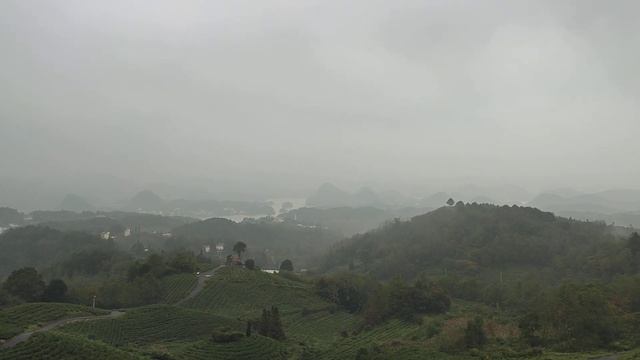 Чайная плантация на юге Китая. смотреть онлайн