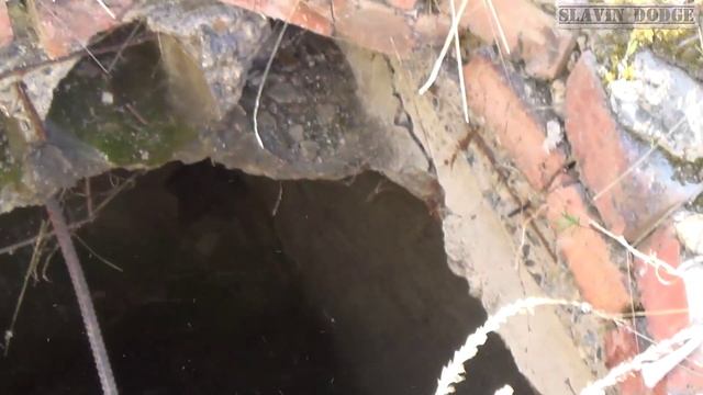 Как избежать потопа, Сталк с Доджем. смотреть онлайн