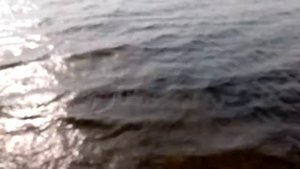 Рыбалка в Екатеринбурге.Отлично отрыбачил на Шарташе.