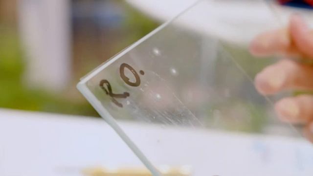 Тест Clearplex и Racing Optics! Тестируем три пленки для защиты автомобильных лобовых стекол. смотреть онлайн