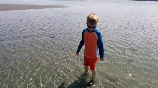 На море В Канаде смотреть онлайн