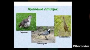 окружающий мир 4 класс луга нашей страны