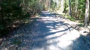 АКА БЕРКУТ-5 (НА ВЕЛОСИПЕДЕ ПО ЛЕСУ . И НЕБОЛЬШОЙ КОП)