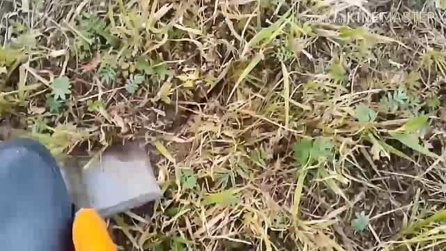 Поиск монет! Я не знал,что так повезёт! смотреть онлайн