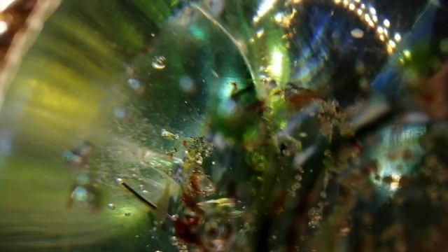 ПРИ ЖИЗНИ ВЫ ЕГО ЛЮБИЛИ. МАРИНА ЦВЕТАЕВА. СТИХИ О ЛЮБВИ. ЧИТАЕТ ОЛЬГА ШУБИНА. 03.03.2021 18 + смотреть онлайн