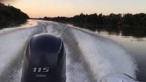 yamaha 115 -