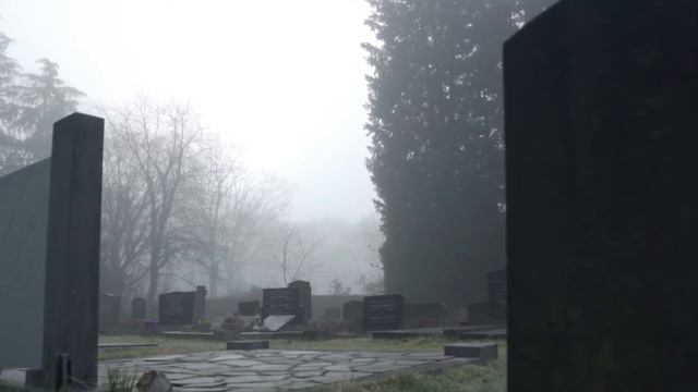 Исцеляющая любовь.