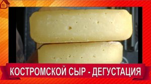 СЫР КОСТРОМСКОЙ выдержка 4 месяца - дегустация