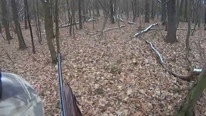 охота на козла 2014ю