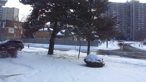 44. Иммиграция Канада. У природы нет плохой погоды. Зима в Канаде.