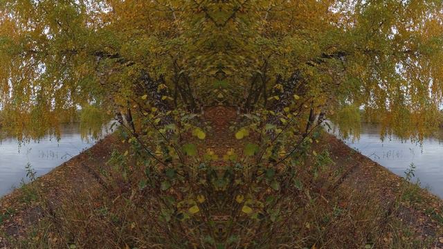 ПОЮЩИЕ ПТИЦЫ ЗАЛОГ ЗДОРОВОЙ НЕРВНОЙ СИСТЕМЫ смотреть онлайн