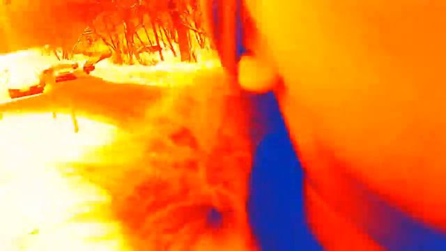 ФАНАТЫ СПАНЧ БОБА смотреть онлайн