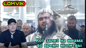 Кот запрыгнул на имама во время молитвы
