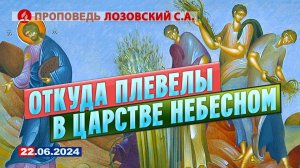 ОТКУДА ПЛЕВЕЛЫ В ЦАРСТВЕ НЕБЕСНОМ. 22.06.2024 г. Проповедь - Лозовский С.А.