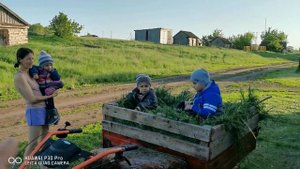 Дети катаются на сене. Косим, Возим траву Мотоблоком Патриот.