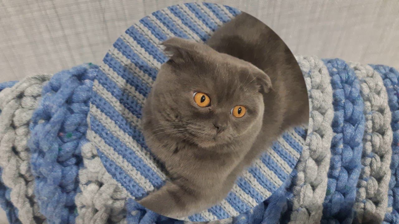 Обзор моих ковриков. смотреть онлайн