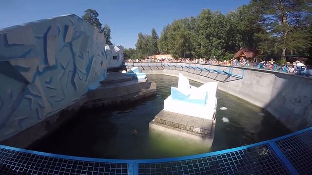 Новосибирский зоопарк (Novosibirsk Zoo) 2016