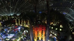 Сингапур. Сады у залива "Цветочный купол" и " Супер-деревья" обзор и отзыв