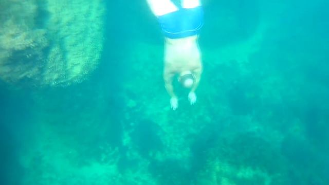 КрымЯлта..пгт. Гаспра .Ласточкино гнездо-2018 Август