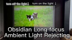 VIVIDSTORM SCREEN VS XGIMI HORIZON PRO: 3️⃣Comparison of ALR SCREEN between the light on and off