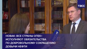 Новак: все страны ОПЕК+ исполняют обязательства по добровольному сокращению добычи нефти