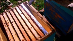 Осенние работы,убираем рамки где был расплод!......2022г...)))  любительское пчеловодство