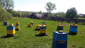 Пасека расширение семей карники корпусами