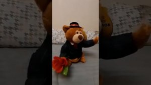 Медвежонок Гуляка