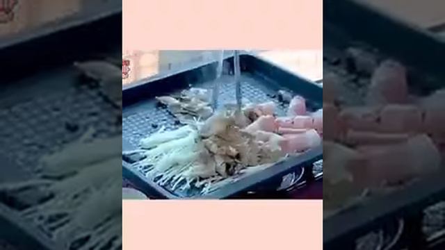 Японка много жрёт) приятного апетита