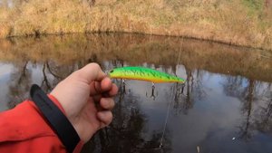 Твичинг DUO REALIS JERKBAIT 110SP. Настройка цвета глубин при записи карт Garmin Striker PlUS 4CV