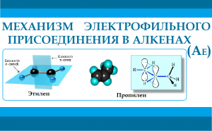 Алкены. Механизм реакции электрофильного присоединения.