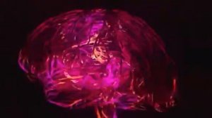 Закон Притяжения Джо Витале 2021 Нужно делать одно простое действие  Joe Vital