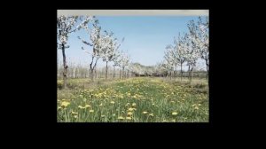 Леонид Борткевич Вераніка и Трэба дома бываць часцей (фрагменты)